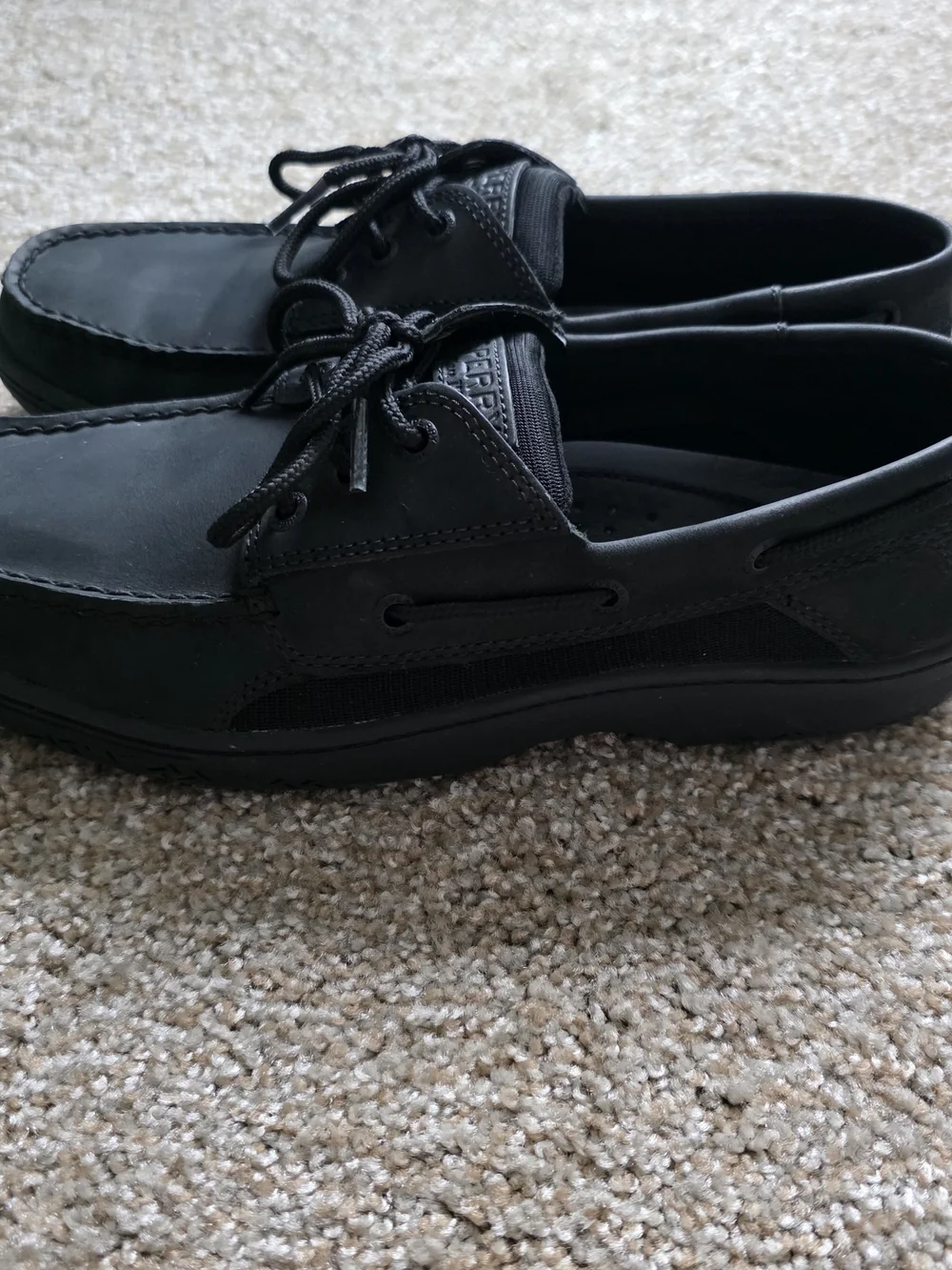 Sperry mens size